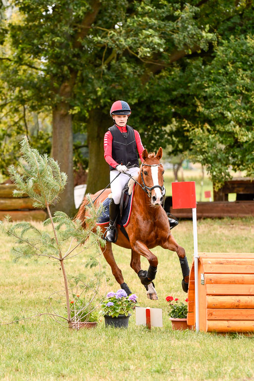 Goldene Schärpe Ponys in Hohenberg Krusemark 2024 | 13072024 Gelände 1 Abt_306 