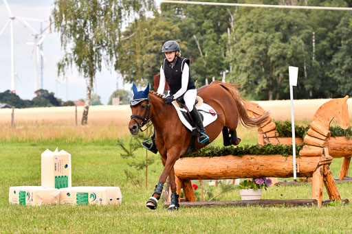 Goldene Schärpe Ponys in Hohenberg Krusemark 2024 | 13072024 Gelände 1 Abt_317 