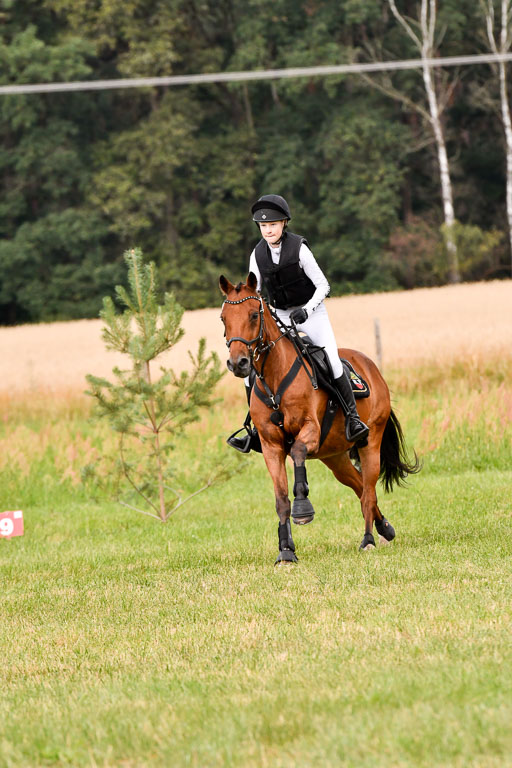 Goldene Schärpe Ponys in Hohenberg Krusemark 2024 | 13072024 Gelände 1 Abt_331 