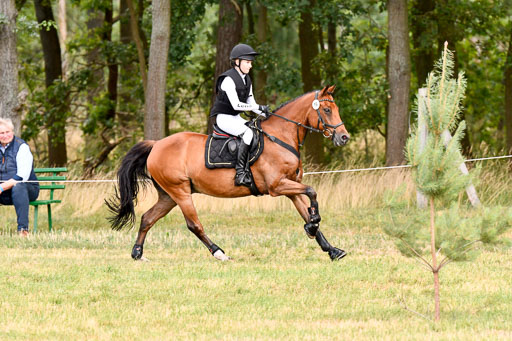 Goldene Schärpe Ponys in Hohenberg Krusemark 2024 | 13072024 Gelände 1 Abt_337 