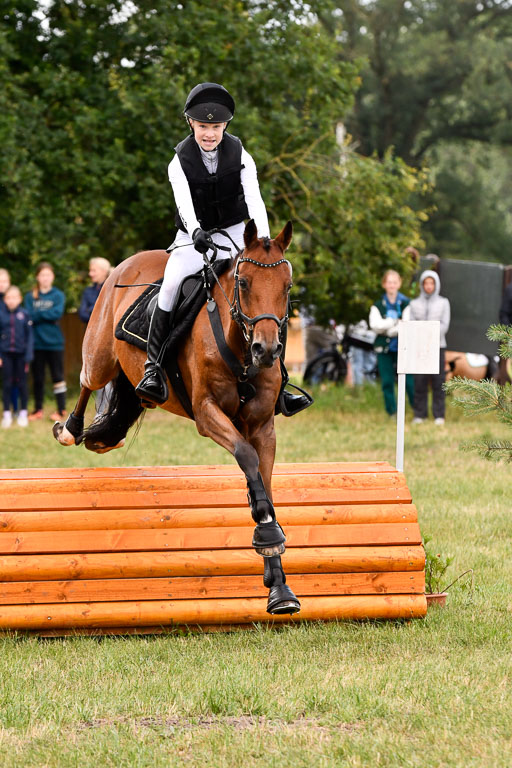 Goldene Schärpe Ponys in Hohenberg Krusemark 2024 | 13072024 Gelände 1 Abt_341 
