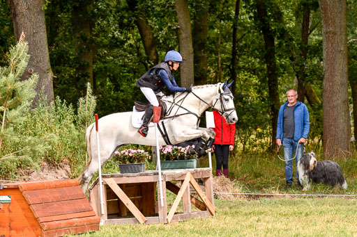 Goldene Schärpe Ponys in Hohenberg Krusemark 2024 | 13072024 Gelände 1 Abt_363 