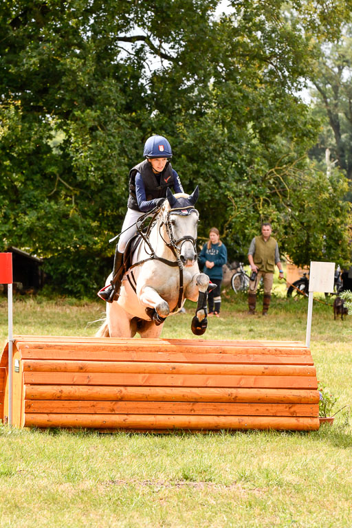 Goldene Schärpe Ponys in Hohenberg Krusemark 2024 | 13072024 Gelände 1 Abt_364 
