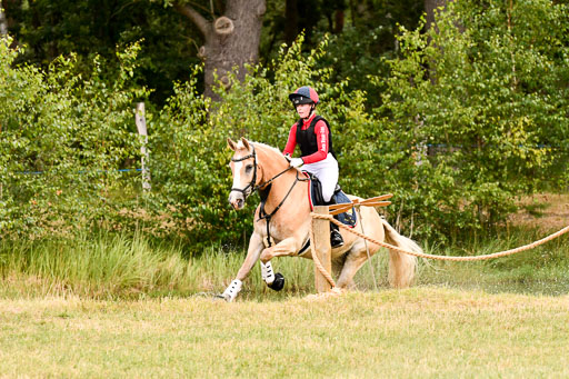 Goldene Schärpe Ponys in Hohenberg Krusemark 2024 | 13072024 Gelände 1 Abt_378 
