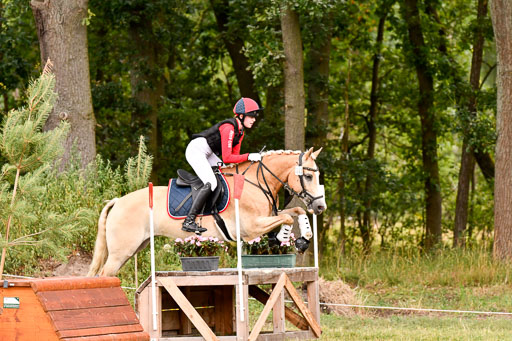Goldene Schärpe Ponys in Hohenberg Krusemark 2024 | 13072024 Gelände 1 Abt_383 