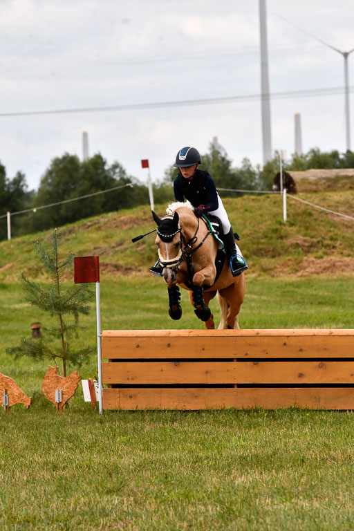 Goldene Schärpe Ponys in Hohenberg Krusemark 2024 | 13072024 Gelände 1 Abt_416 