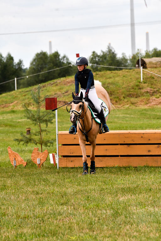 Goldene Schärpe Ponys in Hohenberg Krusemark 2024 | 13072024 Gelände 1 Abt_417 
