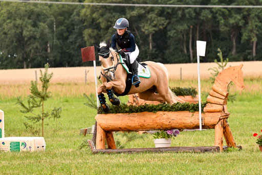 Goldene Schärpe Ponys in Hohenberg Krusemark 2024 | 13072024 Gelände 1 Abt_420 