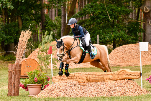 Goldene Schärpe Ponys in Hohenberg Krusemark 2024 | 13072024 Gelände 1 Abt_425 