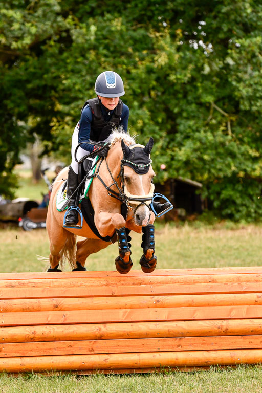 Goldene Schärpe Ponys in Hohenberg Krusemark 2024 | 13072024 Gelände 1 Abt_430 