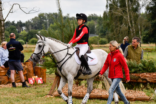 Goldene Schärpe Ponys in Hohenberg Krusemark 2024 | 13072024 Gelände 1 Abt_438 