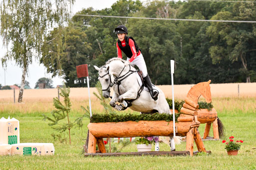 Goldene Schärpe Ponys in Hohenberg Krusemark 2024 | 13072024 Gelände 1 Abt_461 