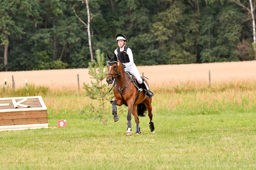 Goldene Schärpe Ponys in Hohenberg Krusemark 2024 | 13072024 Gelände 1 Abt_476 
