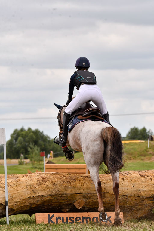 Goldene Schärpe Ponys in Hohenberg Krusemark 2024 | 13072024 Gelände 1 Abt_490 