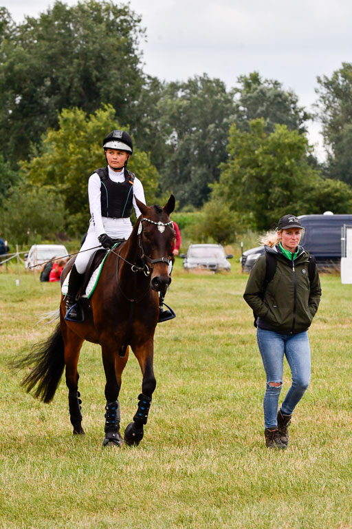 Goldene Schärpe Ponys in Hohenberg Krusemark 2024 | 13072024 Gelände 1 Abt_491 
