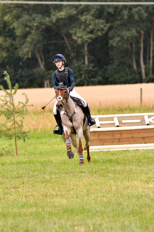 Goldene Schärpe Ponys in Hohenberg Krusemark 2024 | 13072024 Gelände 1 Abt_495 
