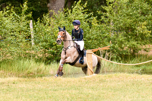 Goldene Schärpe Ponys in Hohenberg Krusemark 2024 | 13072024 Gelände 1 Abt_497 