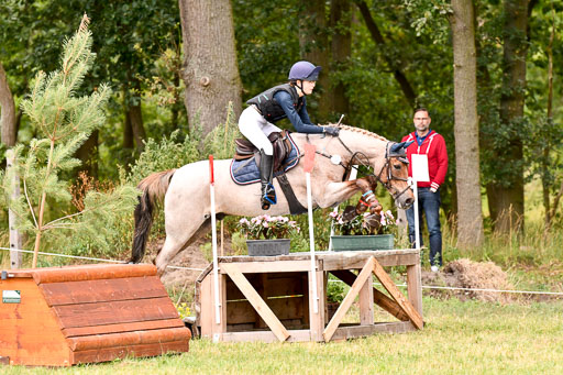 Goldene Schärpe Ponys in Hohenberg Krusemark 2024 | 13072024 Gelände 1 Abt_500 