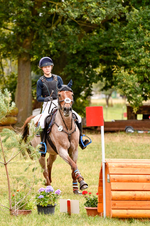 Goldene Schärpe Ponys in Hohenberg Krusemark 2024 | 13072024 Gelände 1 Abt_501 