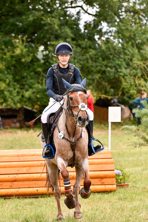Goldene Schärpe Ponys in Hohenberg Krusemark 2024 | 13072024 Gelände 1 Abt_504 