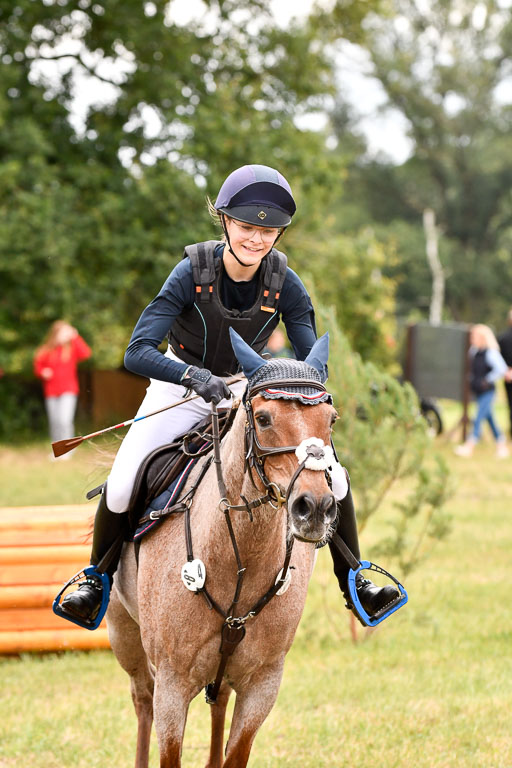 Goldene Schärpe Ponys in Hohenberg Krusemark 2024 | 13072024 Gelände 1 Abt_506 