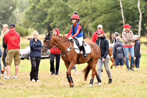Goldene Schärpe Ponys in Hohenberg Krusemark 2024 | 13072024 Gelände 1 Abt_512 