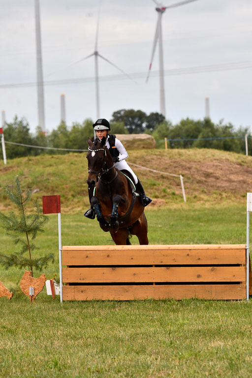 Goldene Schärpe Ponys in Hohenberg Krusemark 2024 | 13072024 Gelände 1 Abt_513 