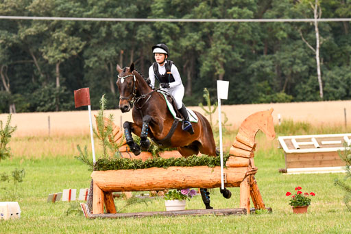 Goldene Schärpe Ponys in Hohenberg Krusemark 2024 | 13072024 Gelände 1 Abt_514 