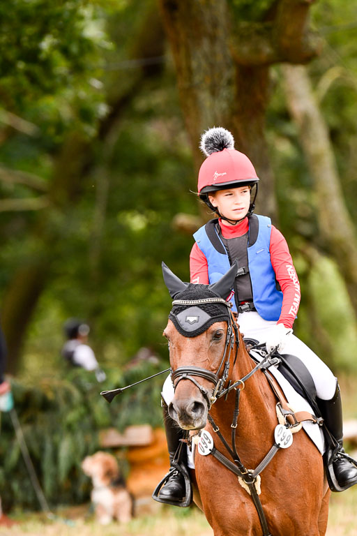 Goldene Schärpe Ponys in Hohenberg Krusemark 2024 | 13072024 Gelände 1 Abt_520 
