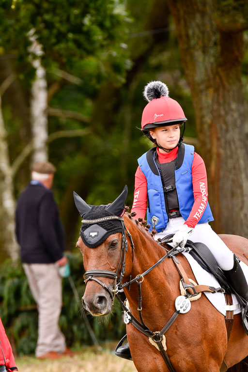 Goldene Schärpe Ponys in Hohenberg Krusemark 2024 | 13072024 Gelände 1 Abt_521 