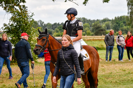 Goldene Schärpe Ponys in Hohenberg Krusemark 2024 | 13072024 Gelände 1 Abt_525 