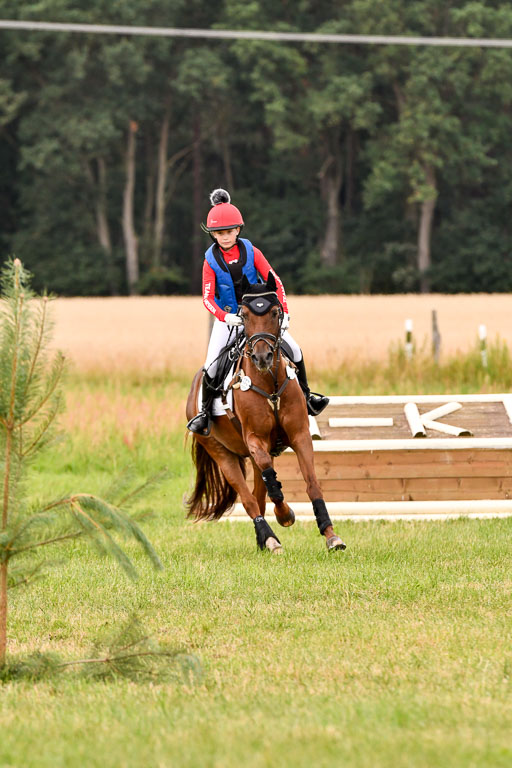 Goldene Schärpe Ponys in Hohenberg Krusemark 2024 | 13072024 Gelände 1 Abt_527 