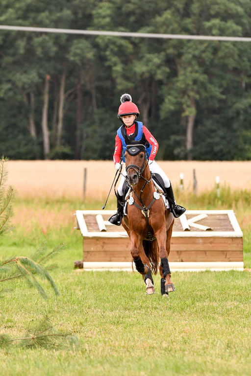 Goldene Schärpe Ponys in Hohenberg Krusemark 2024 | 13072024 Gelände 1 Abt_528 