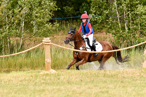 Goldene Schärpe Ponys in Hohenberg Krusemark 2024 | 13072024 Gelände 1 Abt_530 