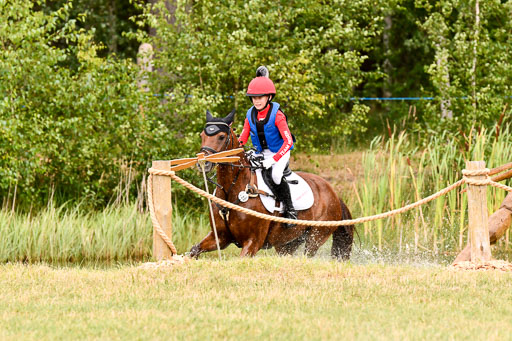 Goldene Schärpe Ponys in Hohenberg Krusemark 2024 | 13072024 Gelände 1 Abt_531 