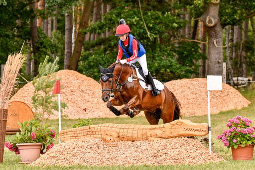 Goldene Schärpe Ponys in Hohenberg Krusemark 2024 | 13072024 Gelände 1 Abt_533 
