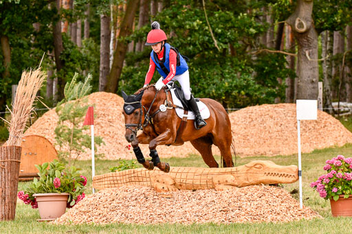 Goldene Schärpe Ponys in Hohenberg Krusemark 2024 | 13072024 Gelände 1 Abt_534 