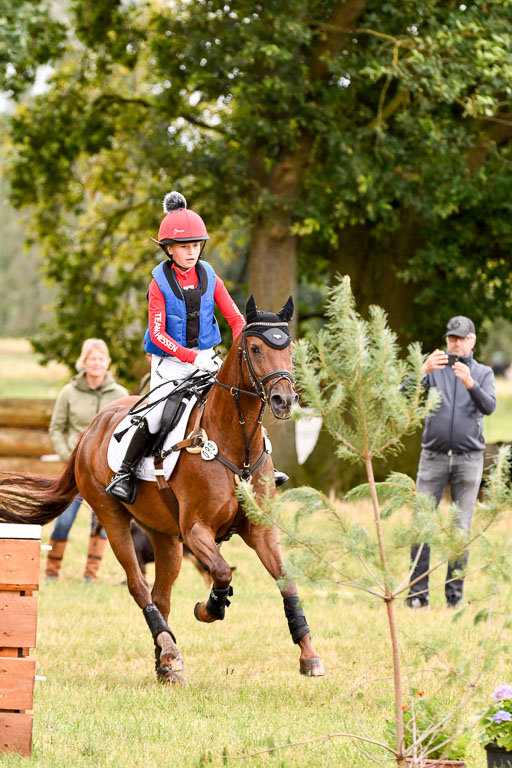 Goldene Schärpe Ponys in Hohenberg Krusemark 2024 | 13072024 Gelände 1 Abt_536 