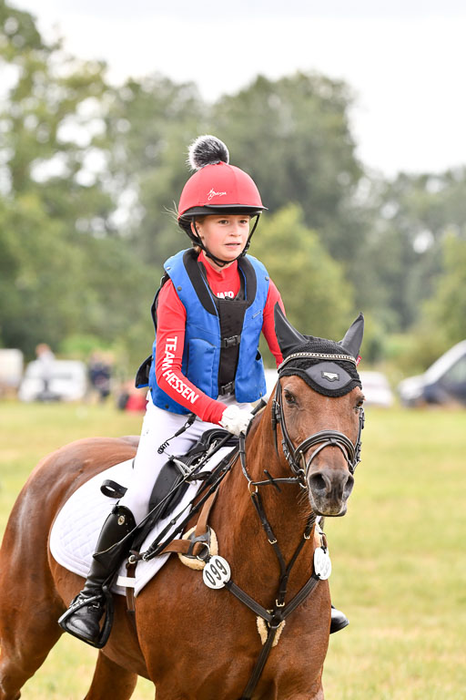 Goldene Schärpe Ponys in Hohenberg Krusemark 2024 | 13072024 Gelände 1 Abt_541 