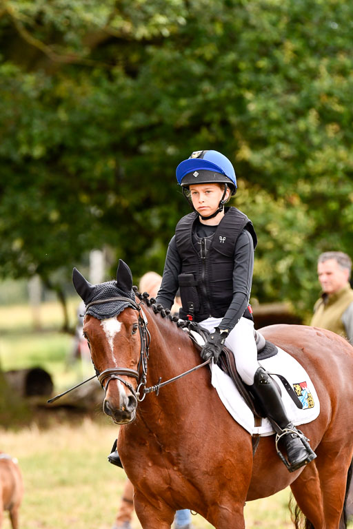 Goldene Schärpe Ponys in Hohenberg Krusemark 2024 | 13072024 Gelände 1 Abt_542 