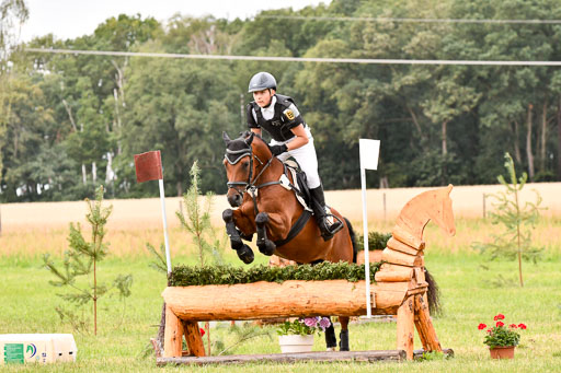 Goldene Schärpe Ponys in Hohenberg Krusemark 2024 | 13072024 Gelände 1 Abt_545 