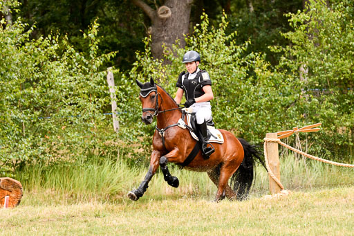 Goldene Schärpe Ponys in Hohenberg Krusemark 2024 | 13072024 Gelände 1 Abt_547 