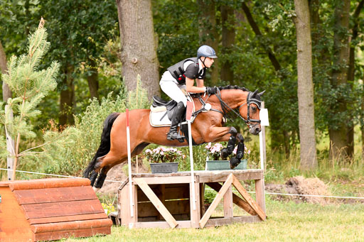 Goldene Schärpe Ponys in Hohenberg Krusemark 2024 | 13072024 Gelände 1 Abt_550 