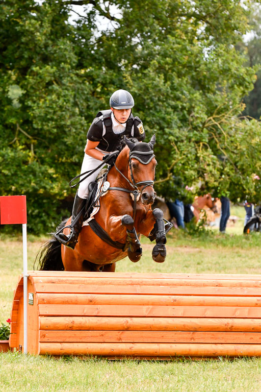 Goldene Schärpe Ponys in Hohenberg Krusemark 2024 | 13072024 Gelände 1 Abt_551 