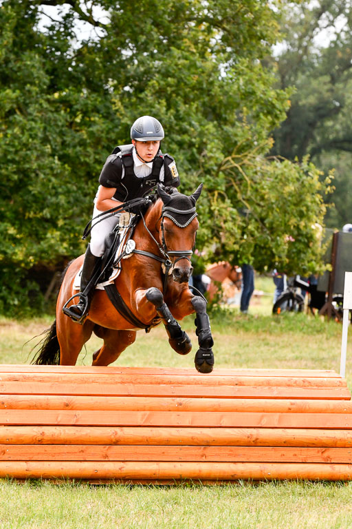 Goldene Schärpe Ponys in Hohenberg Krusemark 2024 | 13072024 Gelände 1 Abt_552 