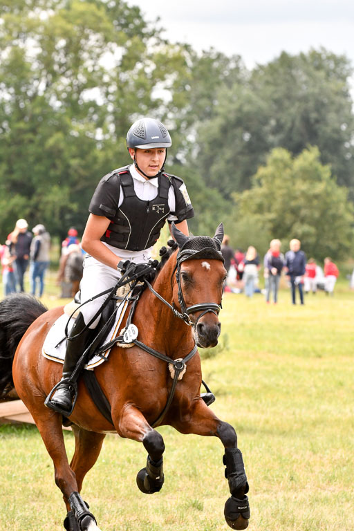 Goldene Schärpe Ponys in Hohenberg Krusemark 2024 | 13072024 Gelände 1 Abt_553 