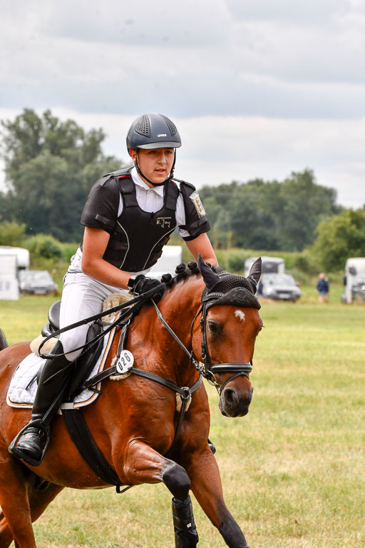 Goldene Schärpe Ponys in Hohenberg Krusemark 2024 | 13072024 Gelände 1 Abt_554 