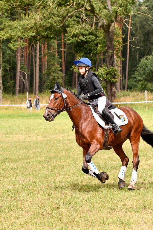 Goldene Schärpe Ponys in Hohenberg Krusemark 2024 | 13072024 Gelände 1 Abt_555 