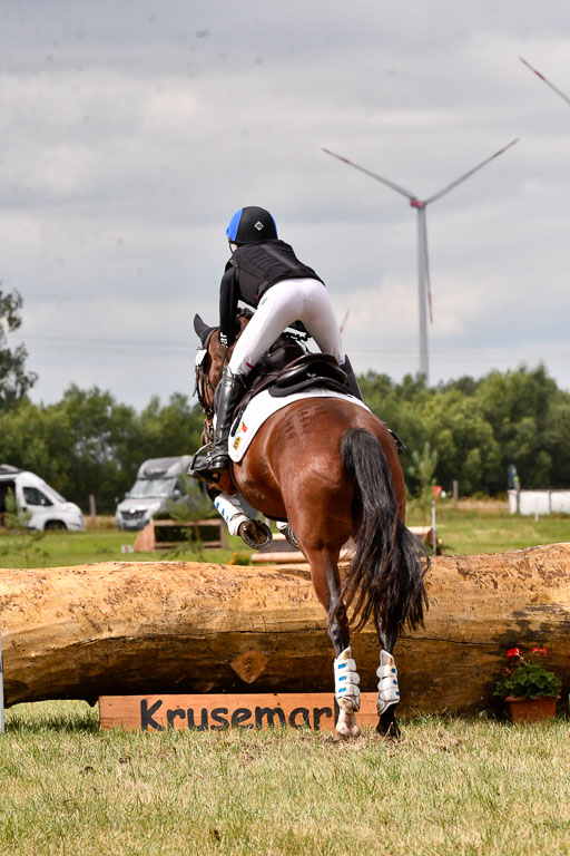Goldene Schärpe Ponys in Hohenberg Krusemark 2024 | 13072024 Gelände 1 Abt_556 