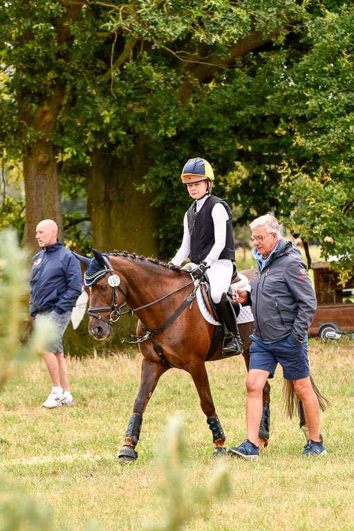 Goldene Schärpe Ponys in Hohenberg Krusemark 2024 | 13072024 Gelände 1 Abt_557 